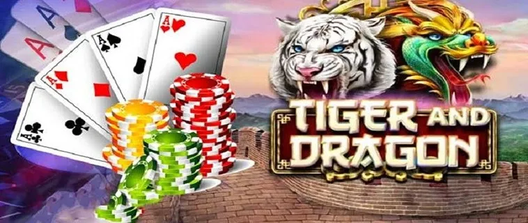 Bí Kíp Chinh Phục Dragon Tiger Tại Nohu90: Hành Trình Thắng Lớn