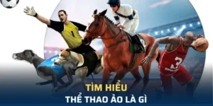 Bí Mật Thắng Lớn: Khám Phá Cá Cược Thể Thao Ảo Nohu90
